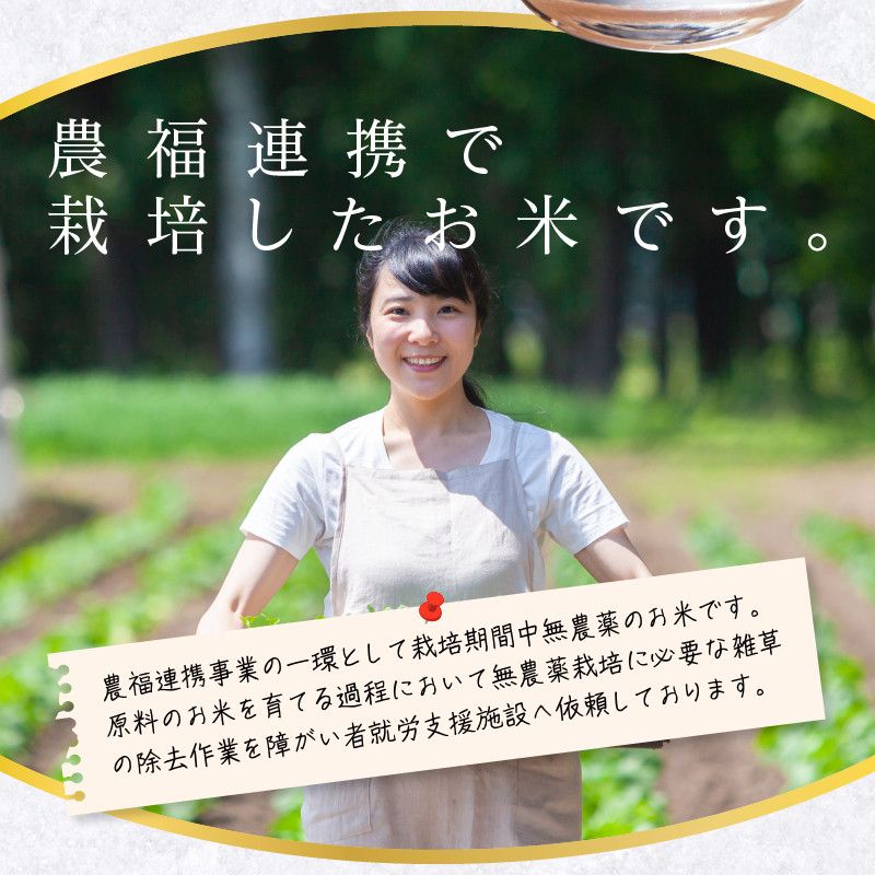 米焼酎ミルキークイーン 白ラベル 25度 720ml_焼酎 720ml 米焼酎 白ラベル 25度 久留米産 ミルキークイーン 米麹 食用米 使用 香り 味わい 福岡県 久留米市 お取り寄せ 飲み物 アルコール 酒 瓶 化粧箱入 農福連携事業 晩酌 家飲み 宅飲み お酒 贈答用 贈り物 ギフト 送料無料_El013