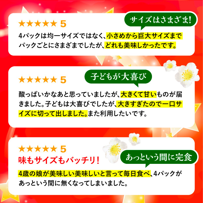 【先行予約】【12月発送】農家直送 あまおう 1080g (270g以上 × 4パック) 土耕栽培《豊前市》【内藤農園】果物 いちご [VAB006]