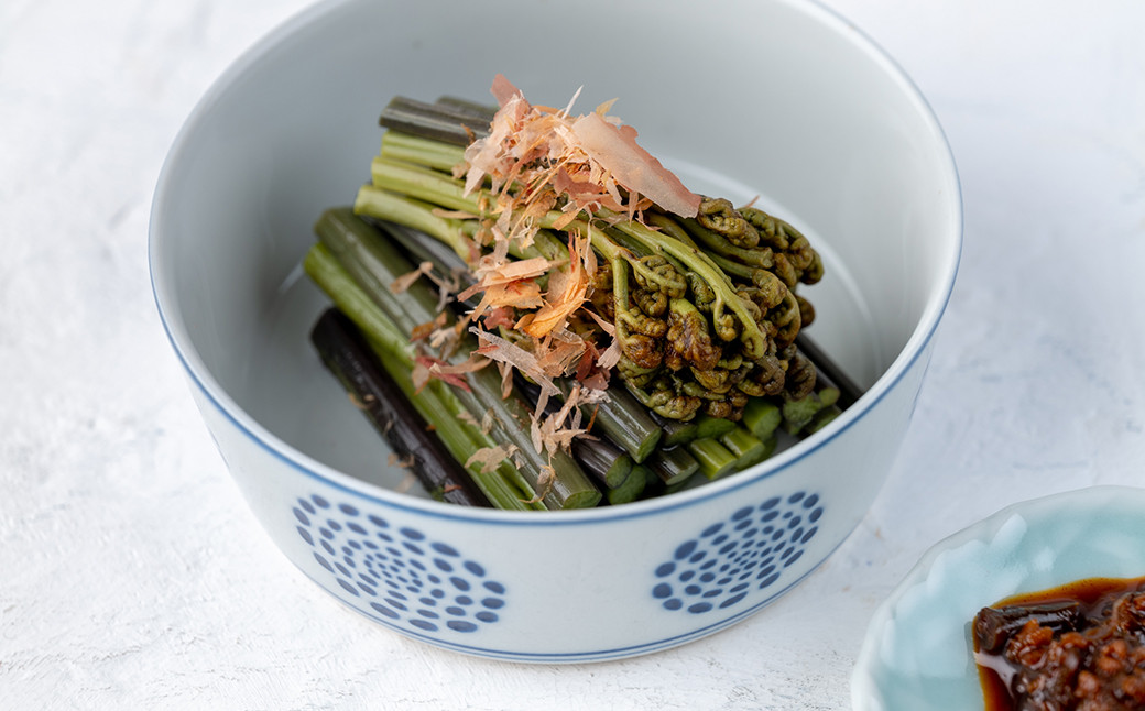 「西わらびの水煮」20パック【塩蔵・塩抜き済】