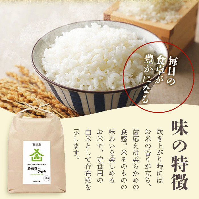 石垣島産 於茂登(おもと)のひかり 5kg みやぎ米屋【 日本一早い新米の産地 石垣 米 お米 産地直送 旬 しきゆたか 沖縄県 石垣市 】MK-1