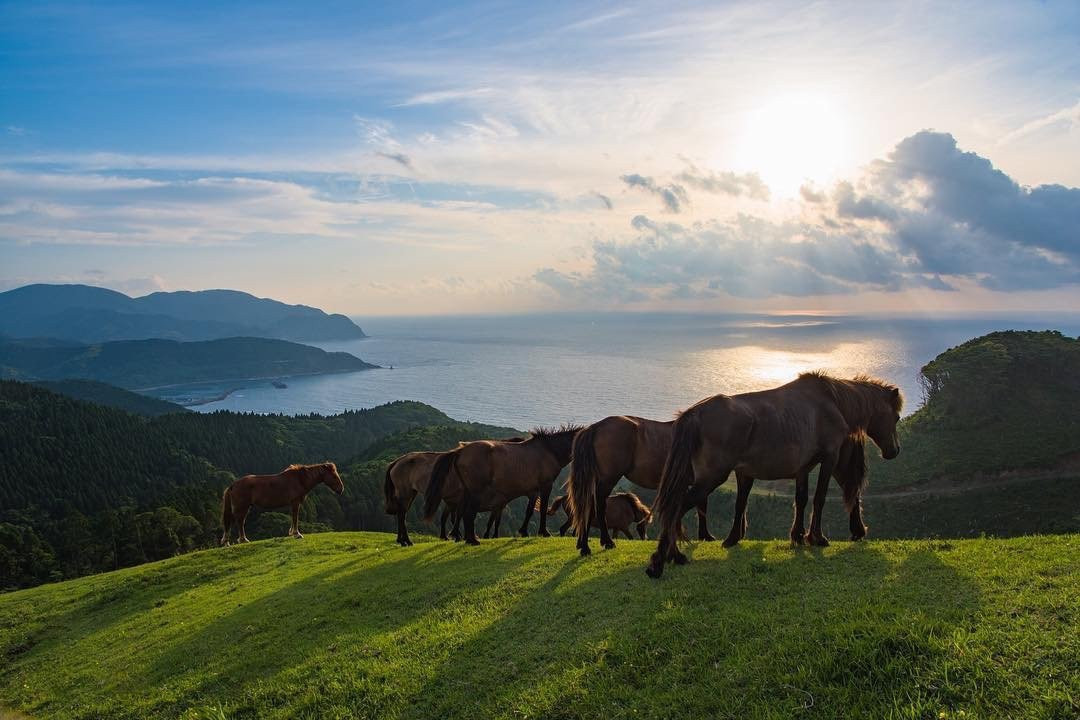 mcam4 まるカフェ「食べる十穀米甘酒」(330g×4パック)【まるカフェ】
