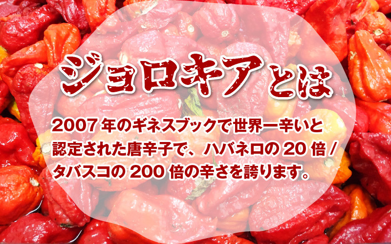 【激辛注意！】ジョロキング 九味（ここみ） 2本セット