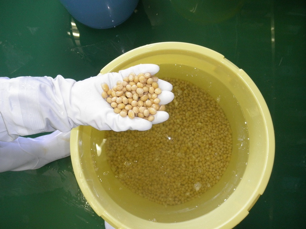 小淵沢味噌 「延命味噌」「米糀味噌」2点おためしセット