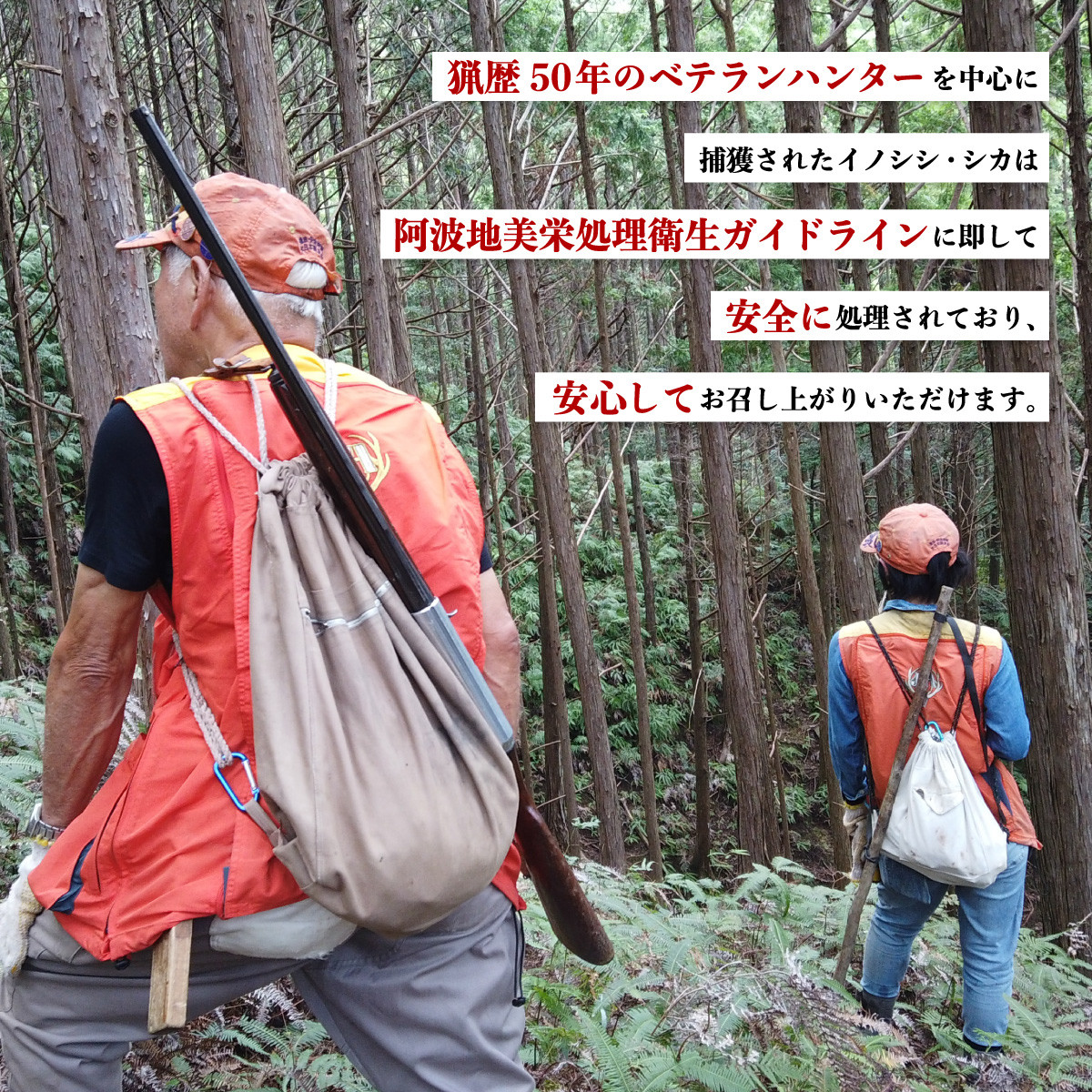 ペット用鹿骨セット 胸骨・ヒザ 1kg 冷凍 お肉付き 加熱用 ペットフード