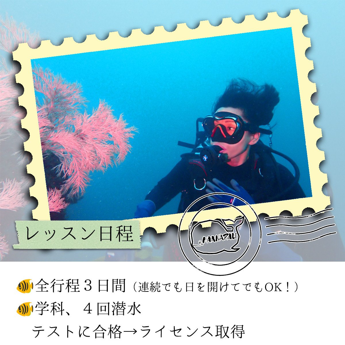 海陽町の海で初級スクーバダイビングライセンス取得! ダイビング ライセンス 取得 チケット カアナパリ 国際ライセンス BSAC 体験 スクーバダイビング スキューバダイビング 四国 徳島 徳島県 海陽 海陽町