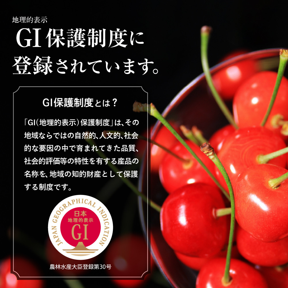 【2026年産 先行予約】GI「東根さくらんぼ」 さくらんぼ 満喫 コース Part１　(2026年4月下旬～5月中旬からスタート) 山形県 東根市　hi001-042