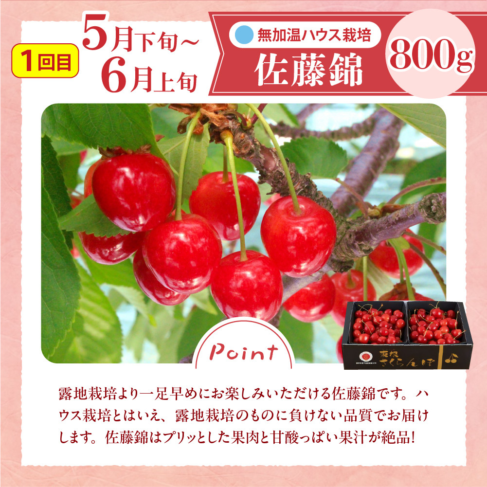 【2026年産 先行予約】 GI「東根さくらんぼ」 さくらんぼ 満喫 コース Part2 (2026年5月下旬~6月上旬からスタート) 山形県 東根市 hi001-043