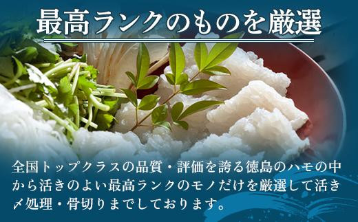 【徳島産「天然鱧」切り身・つくね】冷凍ハモ鍋セット(2~3人前)