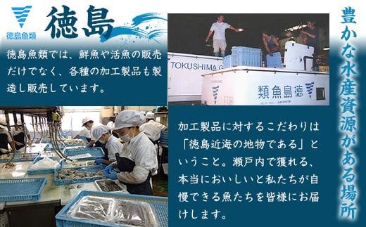 【徳島産「天然鱧」切り身・つくね】冷凍ハモ鍋セット(2~3人前)