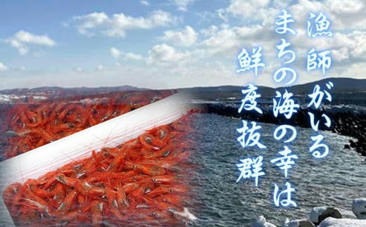 7-024-013 冷凍甘えび・ボタンエビセット 各500g