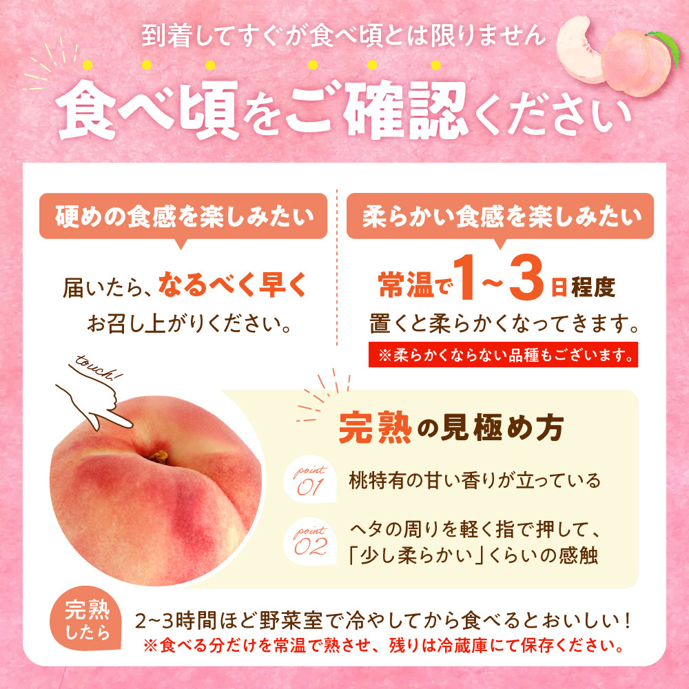 【2026年先行予約 10回 定期便】山形県 東根市産 【プレミアム10・1年 リレーコース】さくらんぼ 桃 すもも シャインマスカット ラ・フランス お米 肉 hi999-039