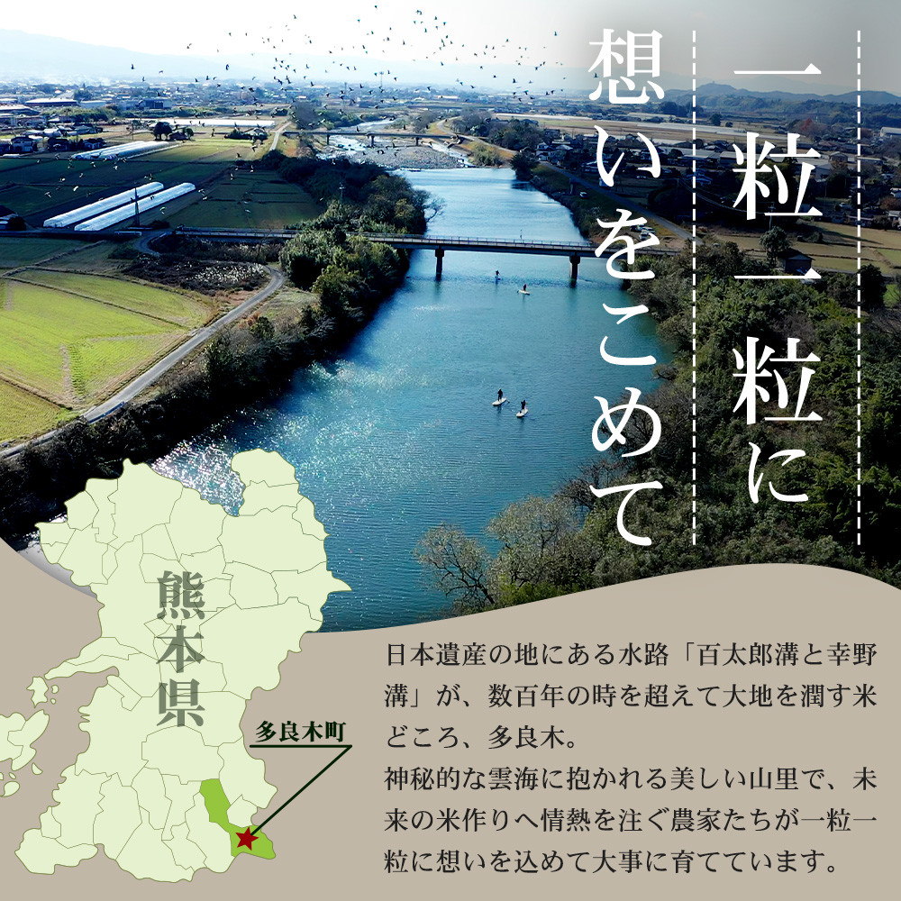 【 令和7年産 米 】受賞米 こめたらぎ にこまる 精米 10kg (5kg×2袋) 米 お米 10月中旬～発送 グランプリ受賞 白米 精米 ご飯 こめらたぎ にこまる 名産地 多良木町産 ふっくら 044-0507-a