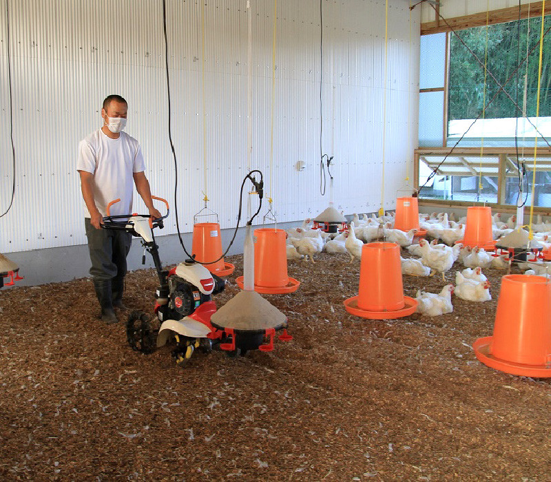 085-08 「さつま極鶏大摩桜」鶏刺し8パックセット