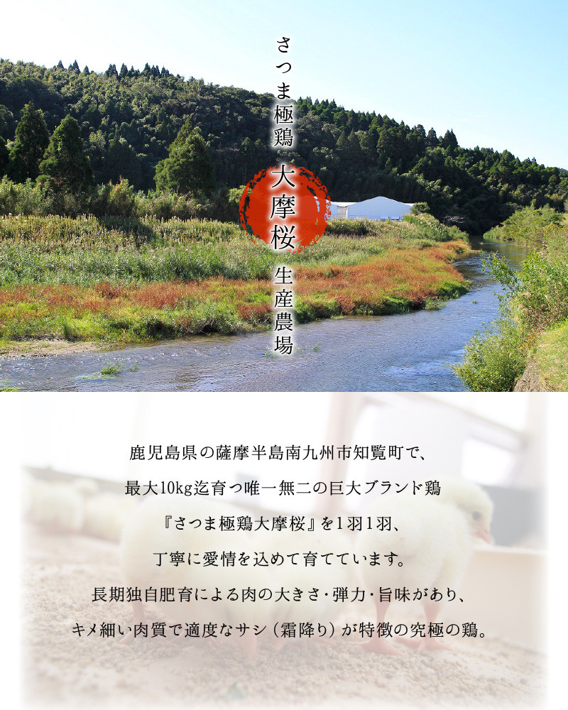 085-08 「さつま極鶏大摩桜」鶏刺し8パックセット