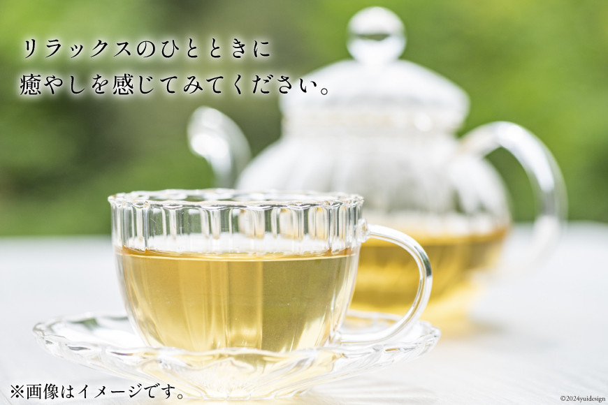 ハーブティー ヒュウガトウキ 10g×1袋 [Agua de Hierba 宮崎県 日向市 452060453] ハーブ 日向当帰 茶 お試し 簡易包装 お茶