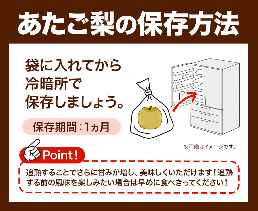 【先行予約】 岡山県産 あたご梨 3kg (3玉~5玉)有限会社ホーティカルチャー神島 令和8年産《2026年11月下旬-12月下旬頃出荷》【配送不可地域あり】