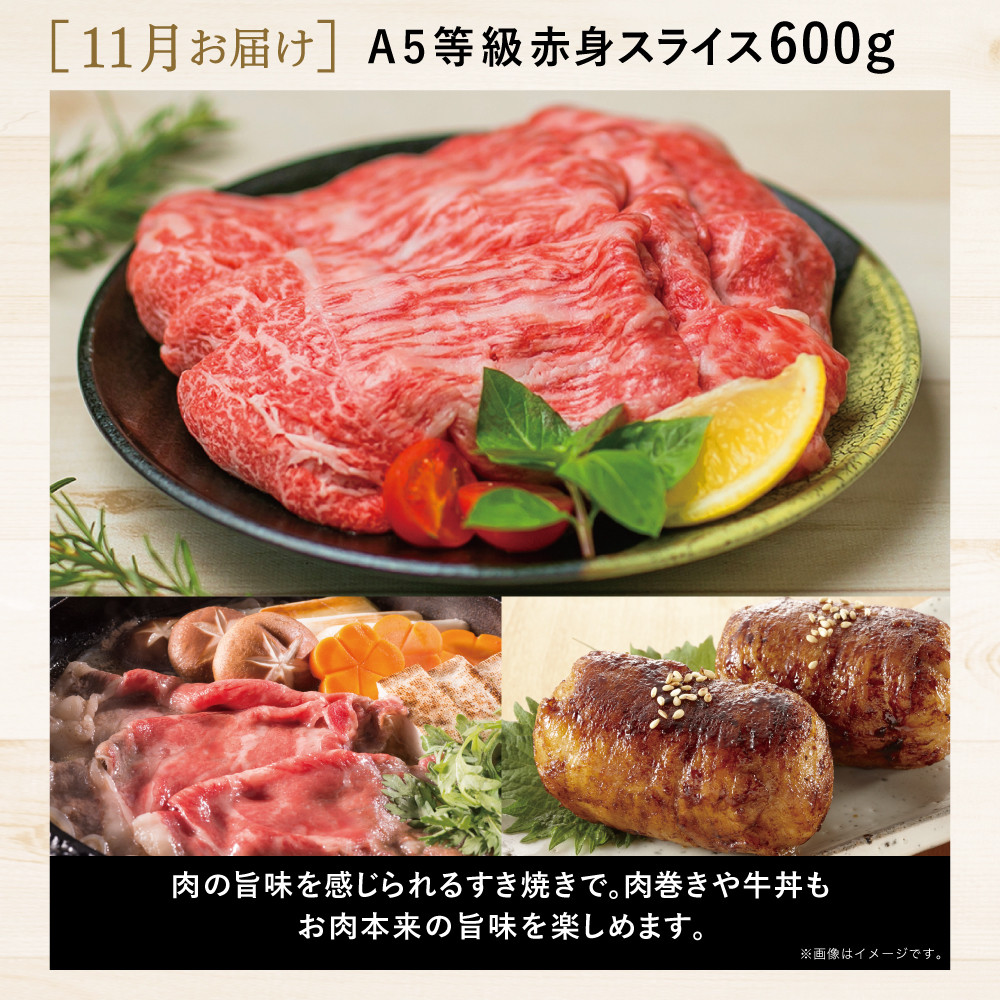 ★2026年2月お届け開始【特撰定期便 全4回】A5等級 鹿児島県産 黒毛和牛 赤身定期便  赤身肉 ヘルシー ステーキ すき焼き しゃぶしゃぶ 焼肉 ローストビーフ ブロック お肉 国産 牛肉 定期便 カミチク 南さつま市