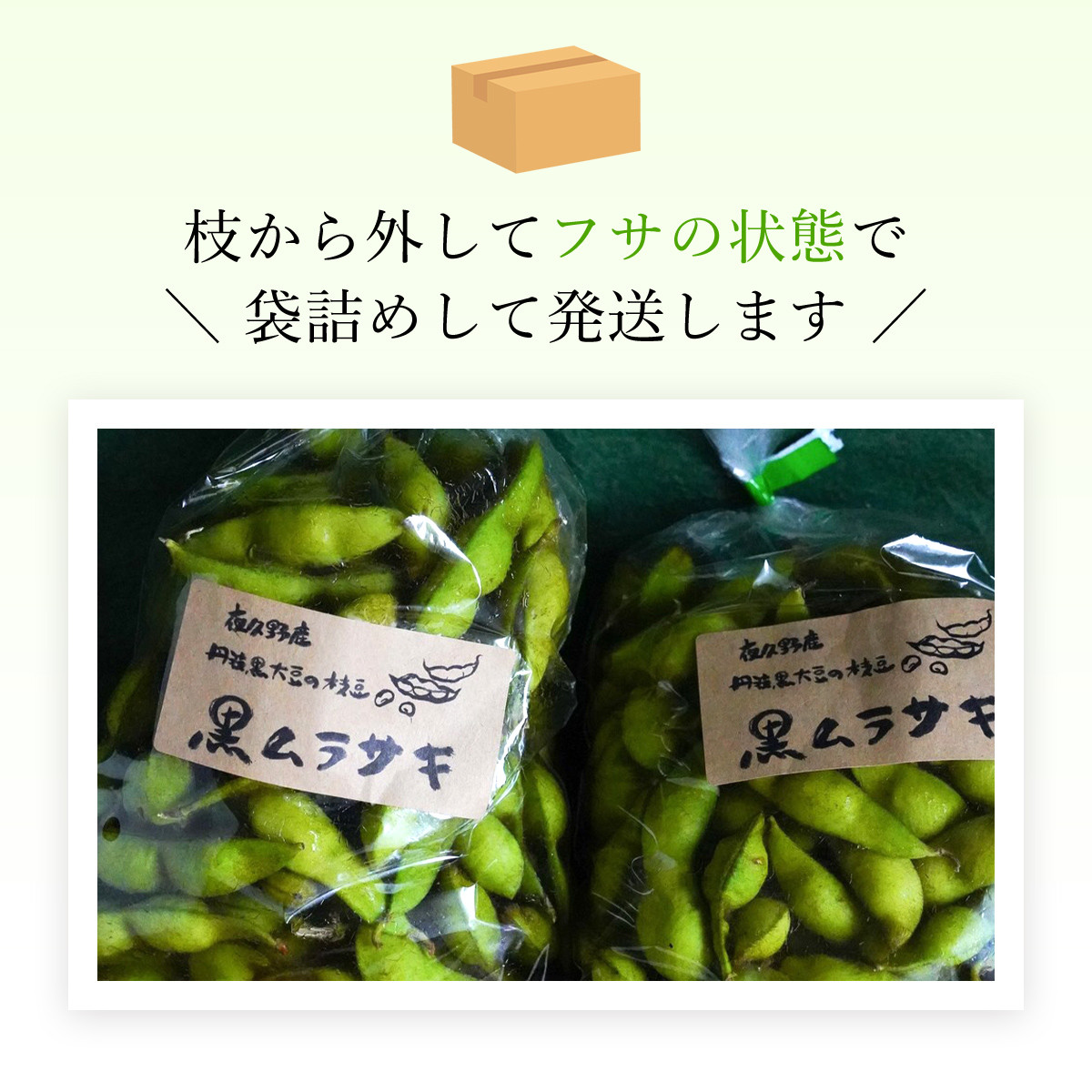 ★先行予約★【2025年10月発送!】丹波黒大豆の枝豆「黒ムラサキ」1㎏ / ふるさと納税 京野菜 野菜 丹波 黒大豆 枝豆 大粒  季節限定 数量限定 京都府 福知山市 FCDB037