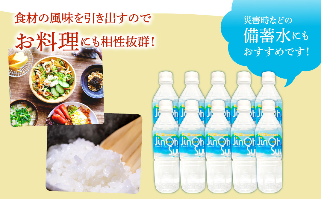奥出雲の純天然水 仁多水 500ml(10本入り)【水・ミネラルウォーター 500ml シリカ 仁多水 水 ミネラルウォーター 飲料水 飲み物 備蓄水 500ml×10本 防災 キャンプ アウトドア 軟水 非加熱 非常用】