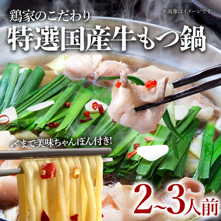 特選「鶏家」もつ鍋セット(2~3人前) ふるさと納税用セット モツ鍋 牛ホルモン もつなべ ホルモン鍋 牛モツ モツ もつ鍋 博多もつ鍋 牛もつ鍋 鍋セット 冷凍 送料無料