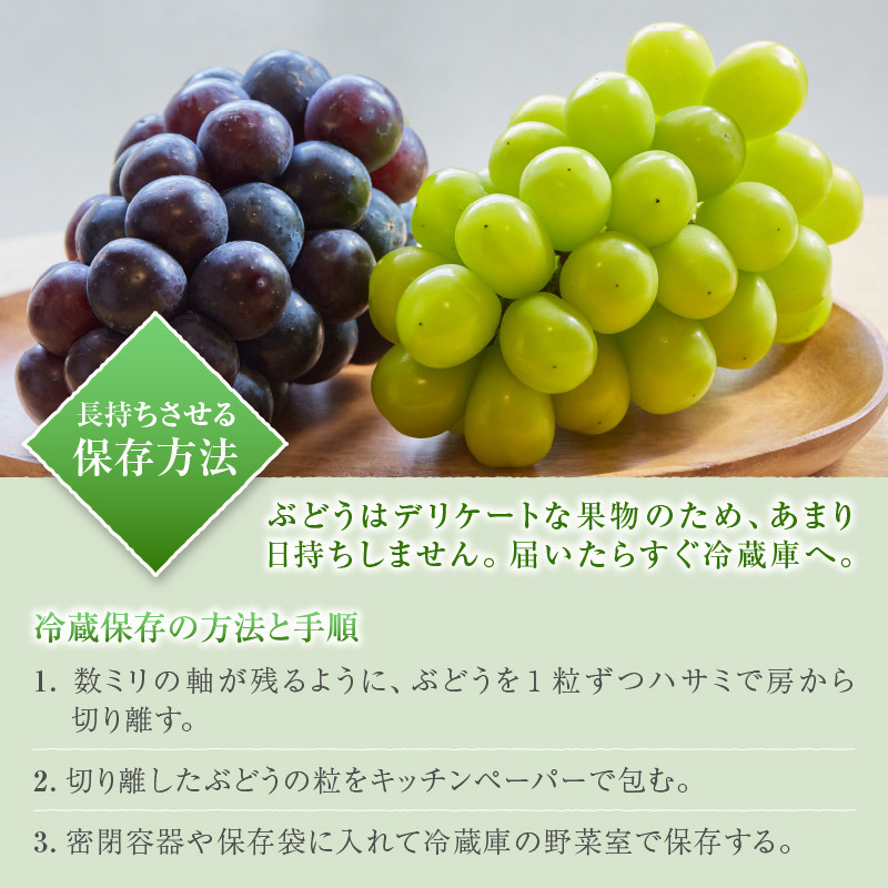 【定期便】甲州市産厳選旬のシャインマスカット1kg以上2房×3回【2026年発送】（MG）D33-101 【シャインマスカット 葡萄 ぶどう ブドウ 令和8年発送 期間限定 山梨県産 甲州市 フルーツ 果物】