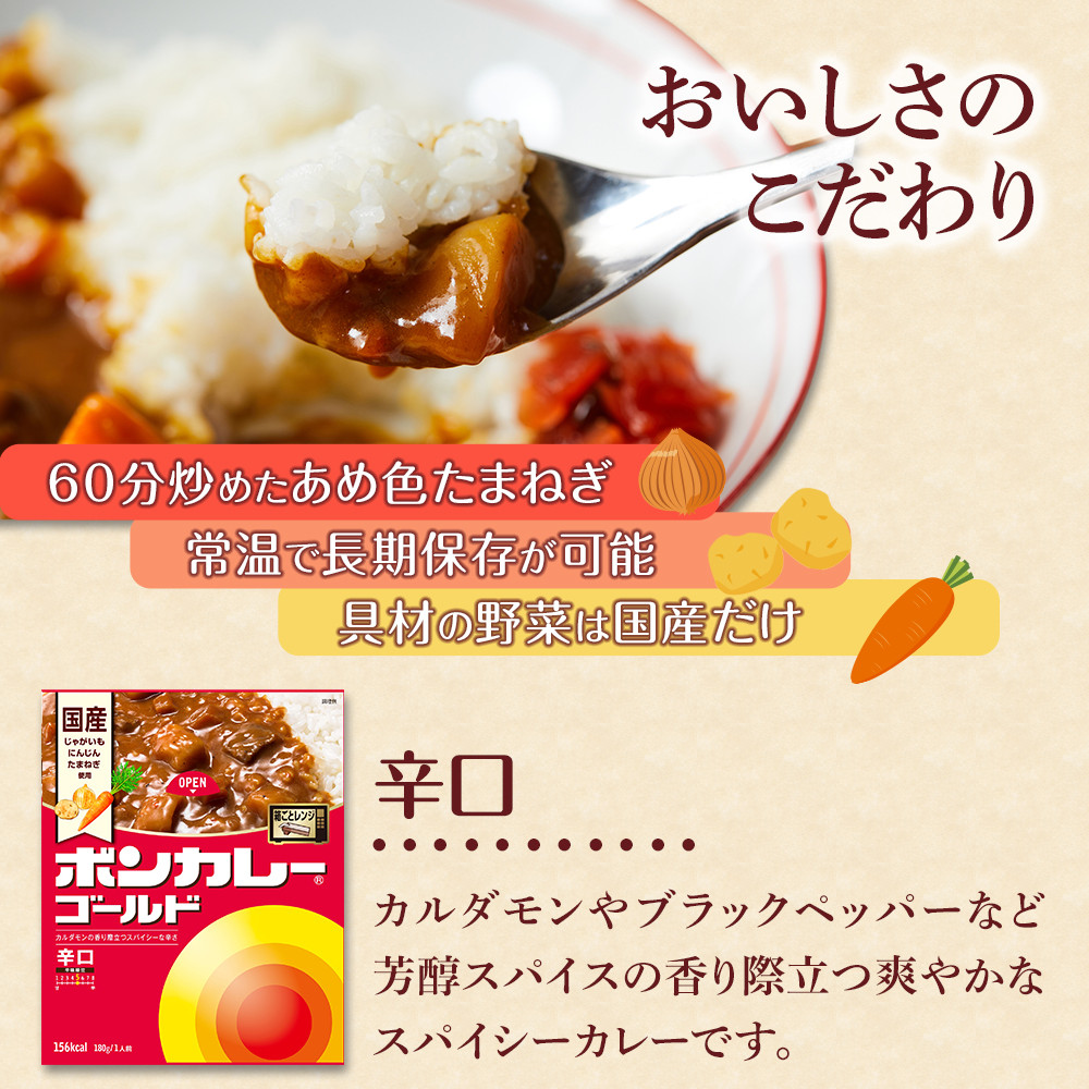 【定期便 全10回】ボンカレーゴールド（辛口）30個×10回　計300個