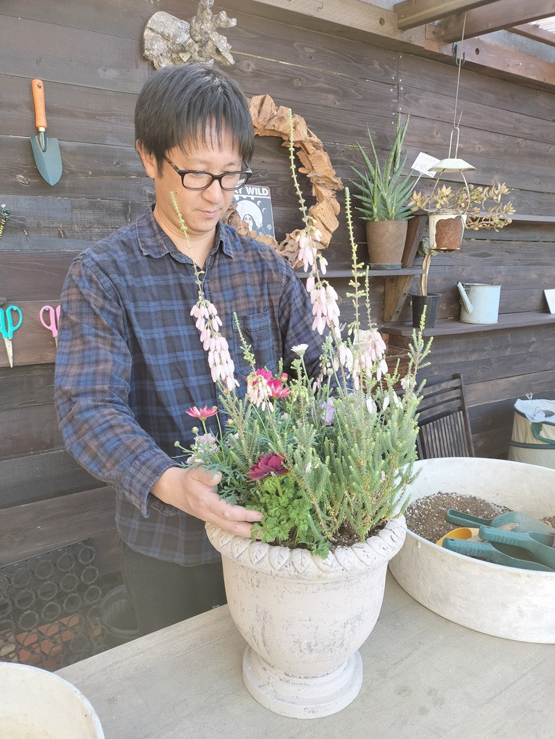 a21-055 季節のおまかせ寄せ植え