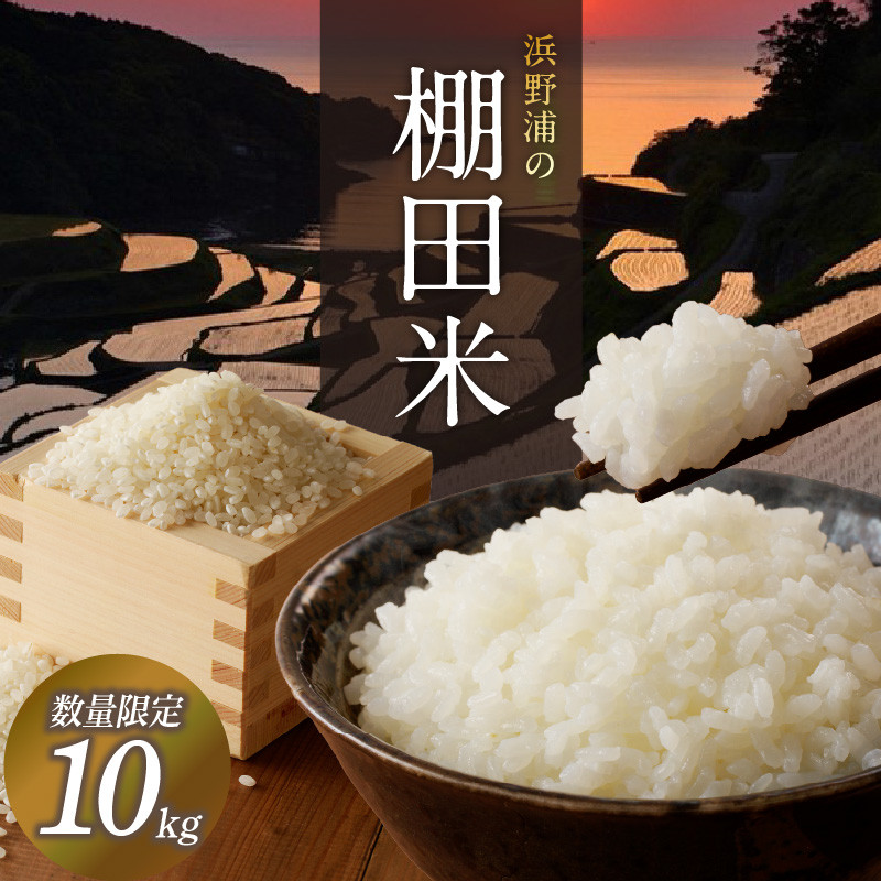 浜野浦の棚田米 10kg / 米 お米 精米 白米 新米 ご飯 棚田 産地直送 数量限定 佐賀県 玄海町 常温 送料無料