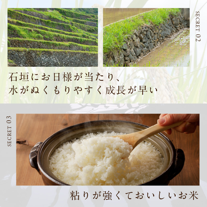 浜野浦の棚田米 10kg / 米 お米 精米 白米 新米 ご飯 棚田 産地直送 数量限定 佐賀県 玄海町 常温 送料無料