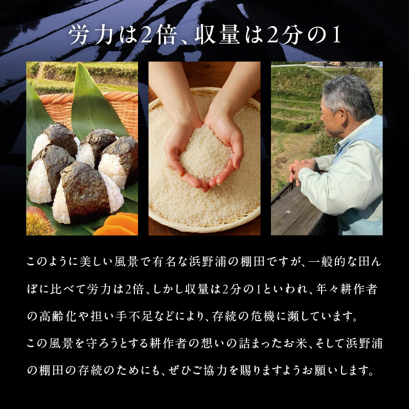 浜野浦の棚田米 10kg / 米 お米 精米 白米 新米 ご飯 棚田 産地直送 数量限定 佐賀県 玄海町 常温 送料無料