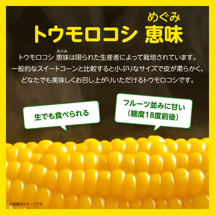 2026年先行予約 「生」で食べられる!北海道富良野産 トウモロコシ 恵味(めぐみ) 10本入り_ トウモロコシ 生で食べられる 北海道 富良野産 とうもろこし 恵味 めぐみ 10本入り ギフト プレゼント 贈り物 送料無料 【1274975】