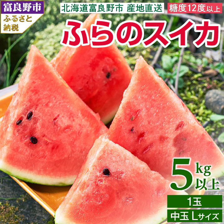 2026年先行予約 ふらのスイカ 5kg以上 1玉【1278448】