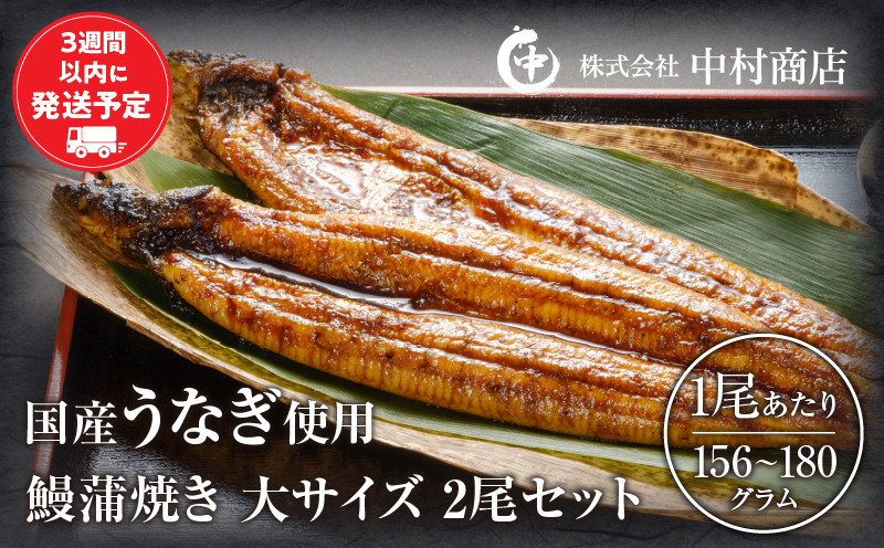 鰻蒲焼 大サイズ2尾セット 冬うなぎ_M069-008_03