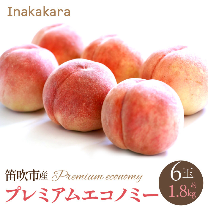 【2026年発送★先行予約】【笛吹市産】Inakakara 一宮町の桃 プレミアムエコノミー 6玉(1玉約300g) 192-023-26y