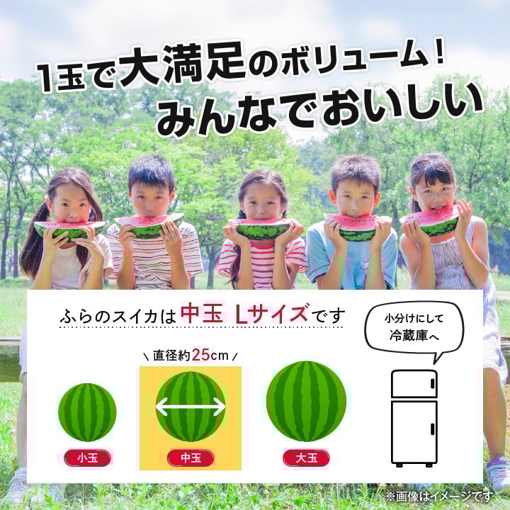 2026年先行予約 ふらのスイカ 5kg以上 1玉【1278448】