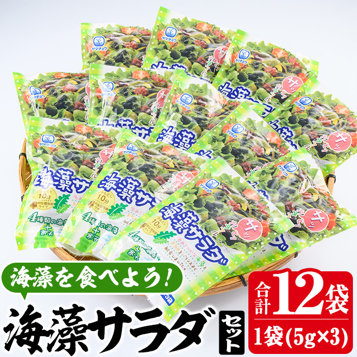  海藻サラダ (合計12袋・1袋3P入)海藻 寒天 ヘルシー ダイエット カロリーオフ サラダ 酢の物 スープ  常温 大分県 佐伯市【CW11】【(株)山忠】
