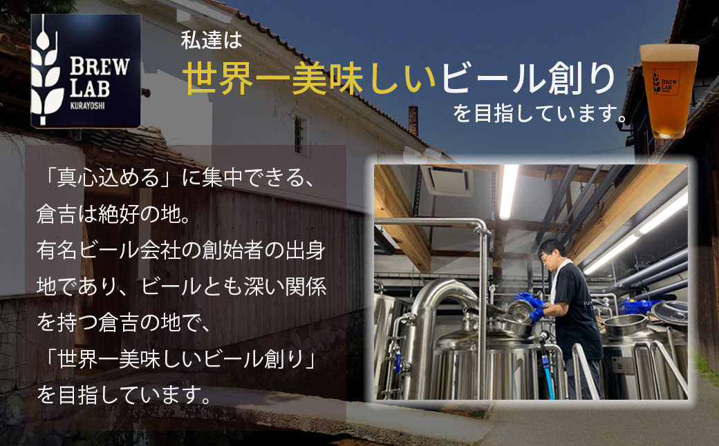 BREW LAB クラフトビール【6本セット】 ビール クラフトビール 地ビール ペールエール ゴールデンエール 鳥取県 倉吉市 珍しい 美味しい ビール党 クラフトビア 手作り おすすめ 飲み比べ 詰め合わせ 大容量