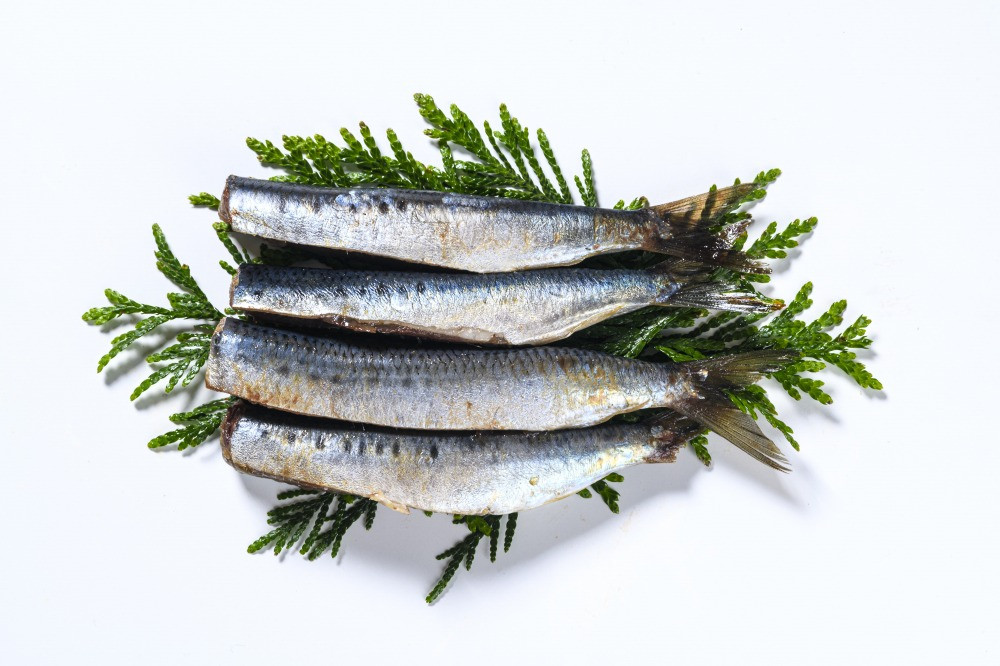 【北海道産】ピチピチ造り一夜干し　7点セット