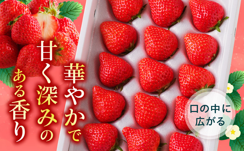 さぬきひめいちご化粧箱 2箱(各約400g)【2027年1月上旬~2027年4月下旬配送】