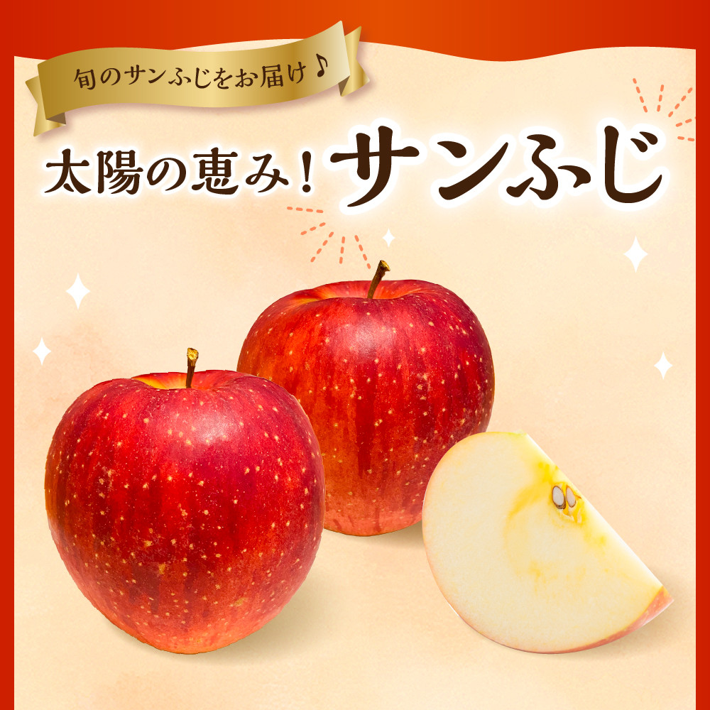 【2026年産】りんご「サンふじ」3kg よってけポポラ提供 hi003-171