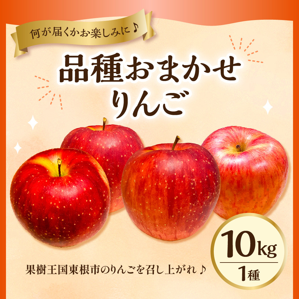 【2026年産】 りんご(品種おまかせ) 10kg よってけポポラ提供 hi003-165