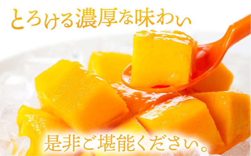 《2026年発送先行予約》【数量・期間限定】完熟マンゴー4L2玉定期便 全3回_M153-T035