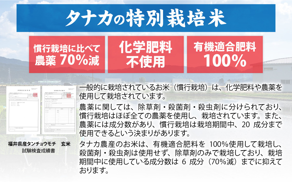特別栽培米　白きりもちと玄米きりもち　合計20個 [A-020015] / 個包装 餅 タンチョウモチ米 米 モチ コシ 粘り 国産 雑煮 ぜんざい 切りもち 切り餅 角餅 年末 年始 正月 お餅 もち おもち きりもち 玄米