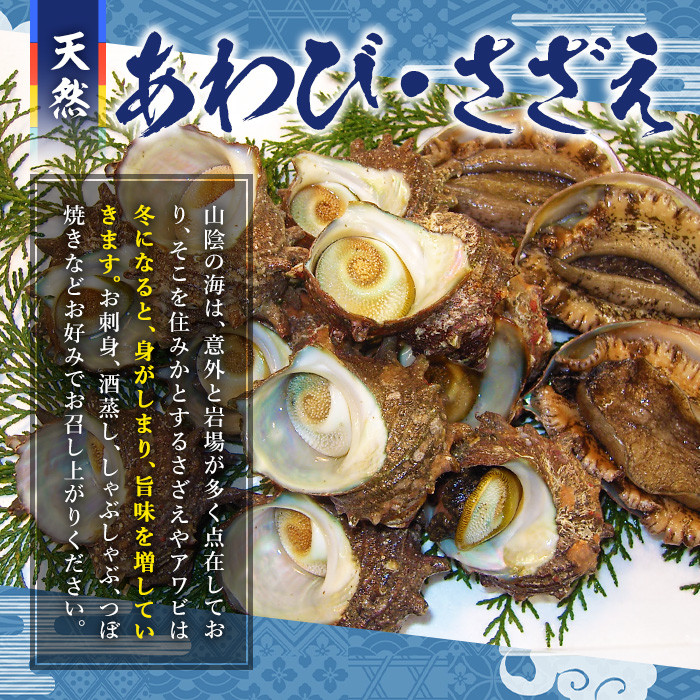 <土日祝着><1月上旬~2月上旬頃順次配送>あわび・さざえ詰合せ(2種)【sm-AA002-B】【いたくら】