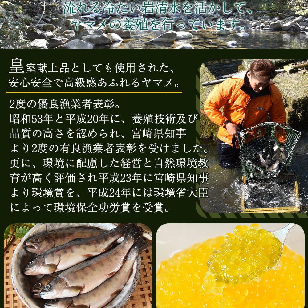 <幻の尺ヤマメ漬け黄金イクラセット>(合計3本) 幻の尺ヤマメ漬け(約70g×2本)、黄金イクラ(約80g×1) 国産 九州産 宮崎 いくら 魚卵 ヤマメ ヤマメ漬け 詰め合わせ 敬老の日 ギフト のし対応可能 贈答用 贈り物 冷凍食品 年内発送 年内配送 年内お届け 年内のうちに届く 【A-0201-sk-nen】【有限会社しゃくなげの森】