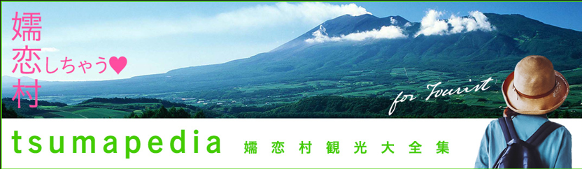 嬬恋村 で使える 感謝券12,000円分 (12枚) 温泉総選挙 万座温泉 万座 鹿沢温泉 観光 旅行券 宿泊券 宿泊補助券 旅行 温泉 スキー ペンション ホテル 旅館 トラベル 父の日 母の日 敬老の日 浅間高原 鹿沢 バラギ 北軽井沢 エリア 関東 12000円 クーポン チケット 国内旅行 お泊り 日帰り 観光地応援 [AO005tu]
