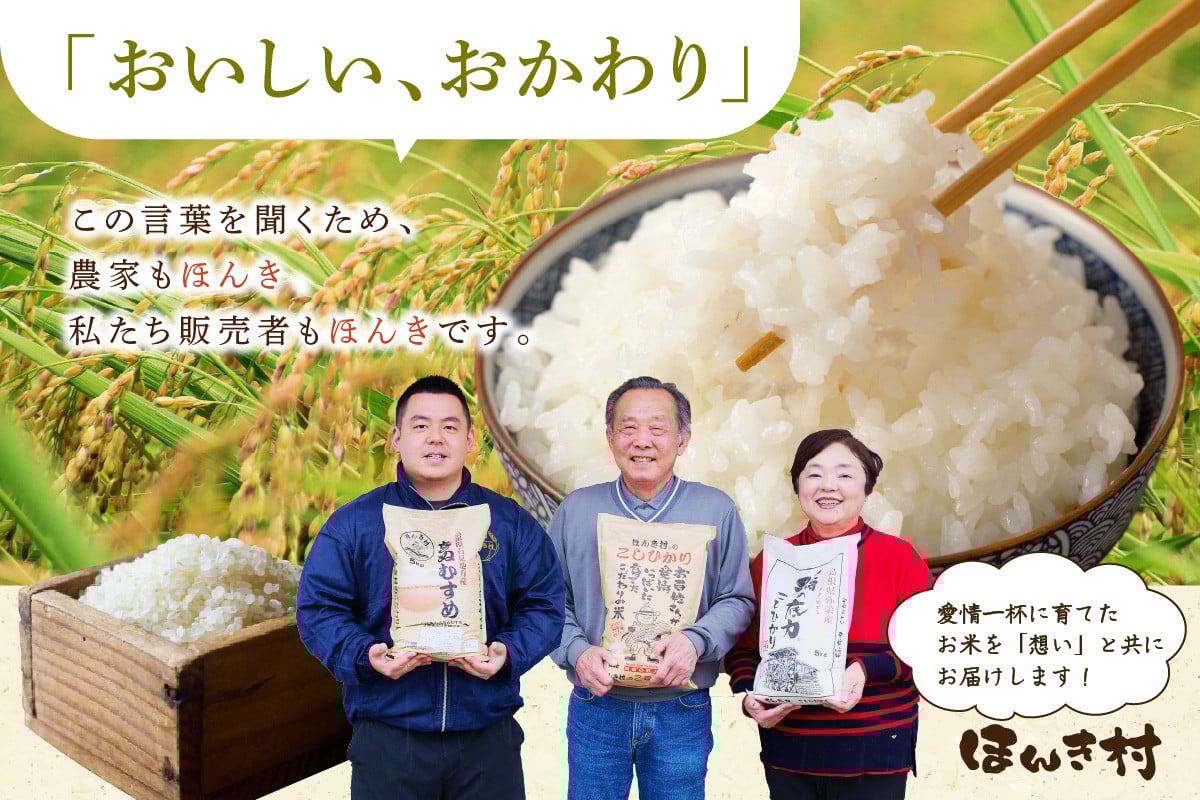 【年内配送】【令和7年産】石見産きぬむすめ5kg 白米 玄米 選択可 お取り寄せ 特産 お米 精米 ごはん ご飯 コメ 新生活 5キロ 一等米 【197_1958】