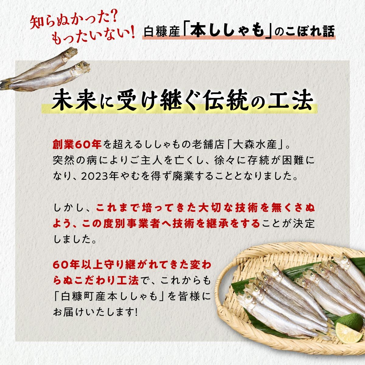 しらぬか産 本ししゃも 10尾 オスメス 各5尾 ししゃも シシャモ 子持ちししゃも 卵 魚卵 魚 魚介 国産 北海道 北海道産 ふるさと納税