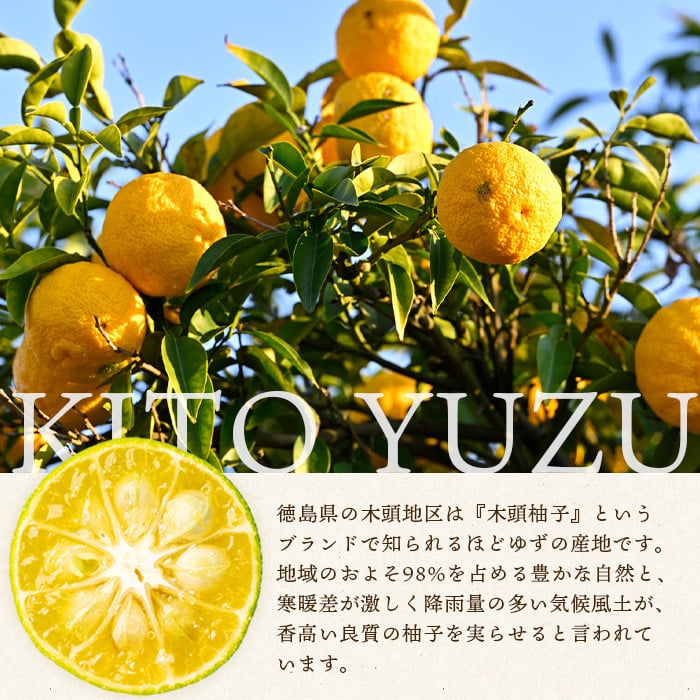 木頭柚子 ゆず湯 1袋 (25g×5個入り) 【徳島県 那賀町 入浴剤 5回分 木頭柚子 木頭ゆず きとう柚子 ゆず ユズ 柚子 お風呂 風呂 ふろ 浴室 柑橘 柑橘系 バスタイム 無香料 無添加 国産 浴用 浴用雑貨 バス用品 癒し リラックス】KM-44