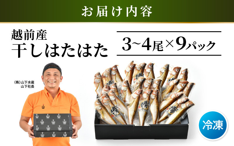越前産 干しはたはた（3～4尾）× 9パック 越前塩のみで仕上げた一塩干し！【干物 ひもの ハタハタ 海鮮 冷凍 個包装】 [e04-a107]